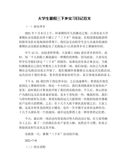 大学生暑假三下乡实习日记范文