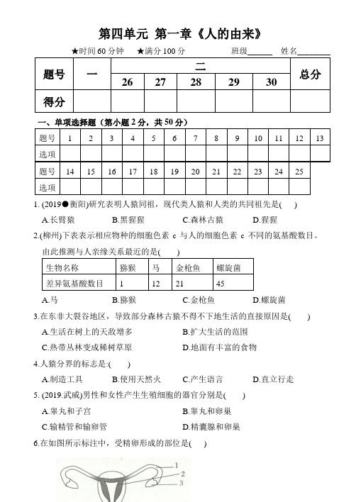 人教版七年级生物下册最新题型卷  第一章《人的由来》 (解析版)