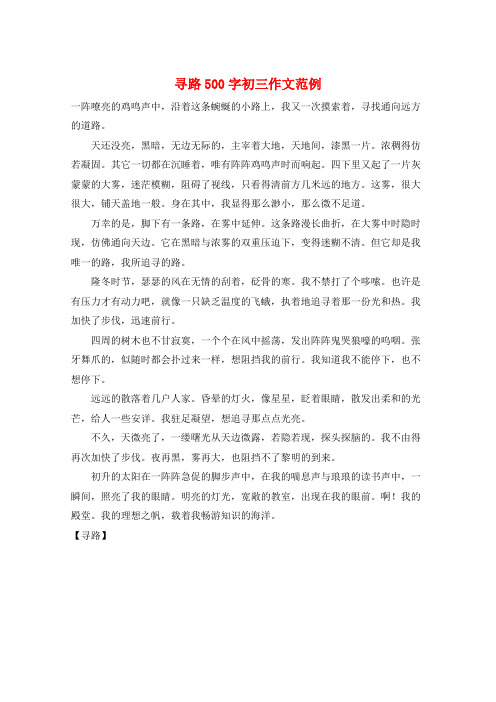 寻路500字初三作文范例