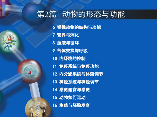 动物的形态与功能