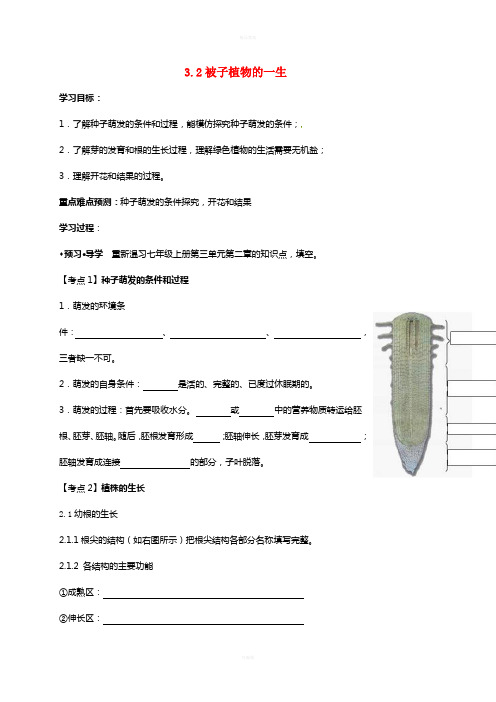 中考生物 被子植物的一生复习学案