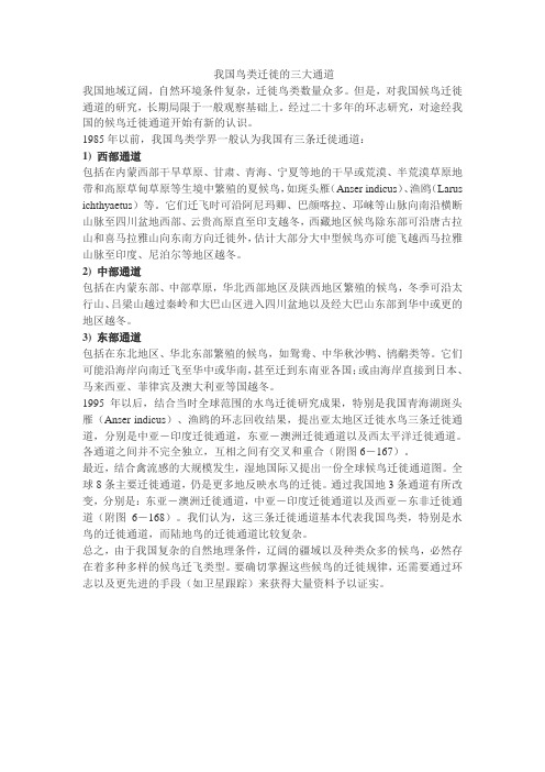 我国鸟类迁徙的三大通道