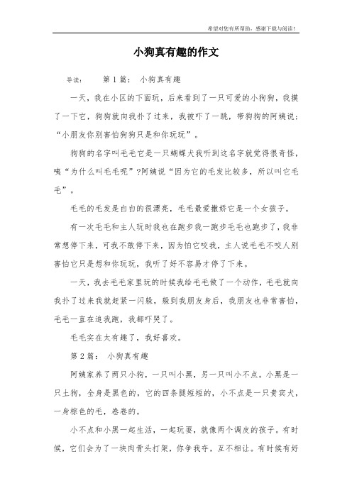 小狗真有趣的作文