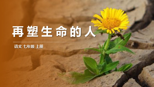 第10课《再塑生命的人》课件(共18张PPT)语文七年级上册