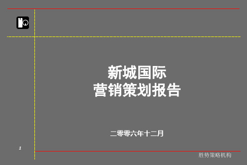 新城国际营销策划报告
