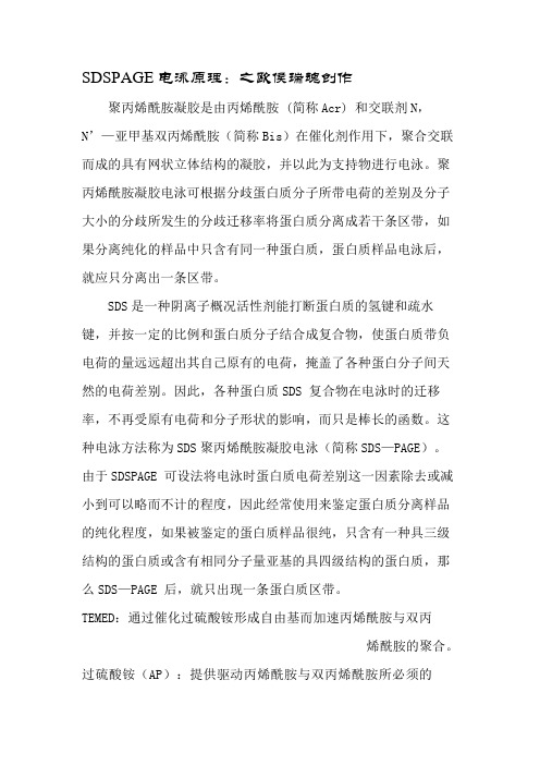 SDS-PAGE分离胶配方表-及其原理