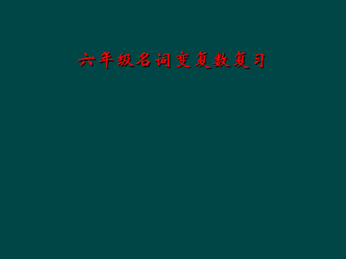 六年级名词变复数复习
