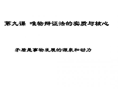 唯物辩证法的实质与核心(3)