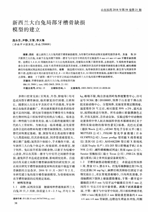 新西兰大白兔局部牙槽骨缺损模型的建立