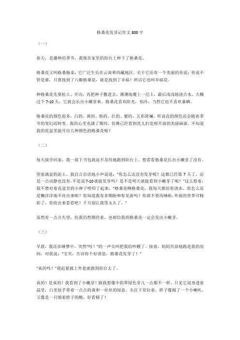 格桑花发芽记作文800字全面版