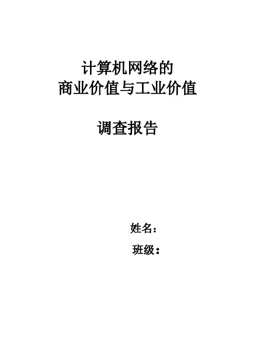 计算机网络的商业价值与工业价值调查报告