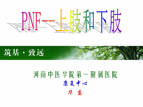 PNF上肢和下肢PPT演示幻灯片
