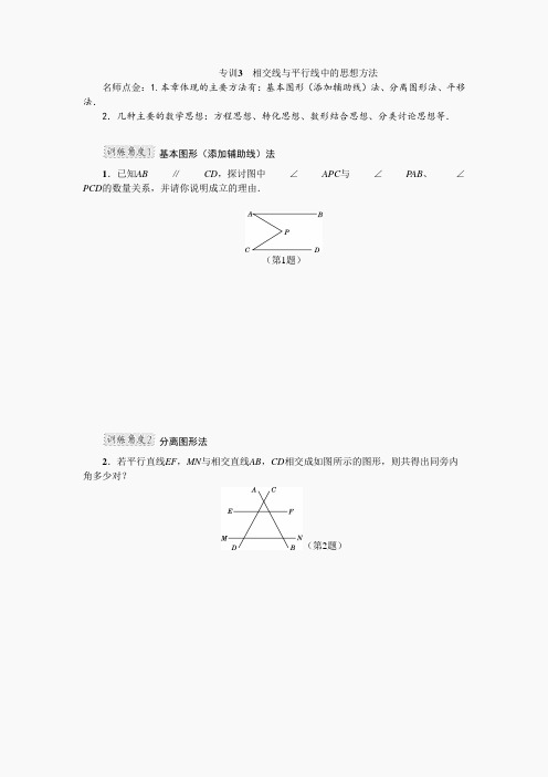 专训3 交线与平行线中的思想方法