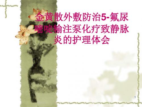 金黄散外敷防治5-氟尿嘧啶输注泵化疗致静脉炎护理体会摘要ppt课件
