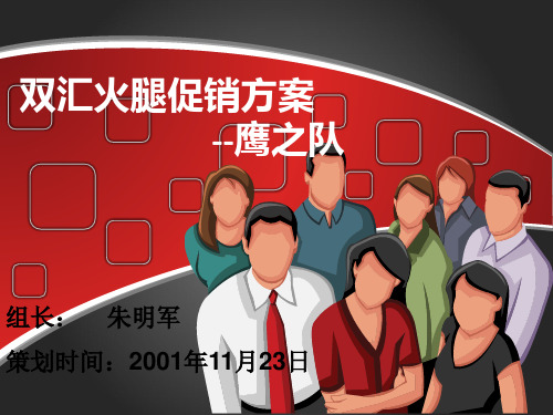 双汇火腿促销方案-文档资料