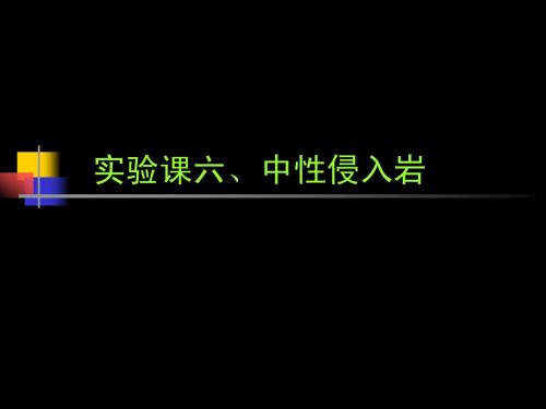 岩浆岩实习课六