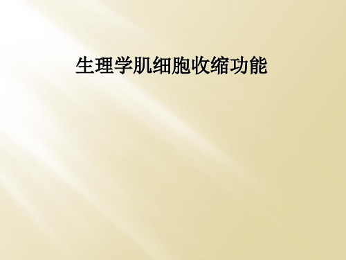 生理学肌细胞收缩功能
