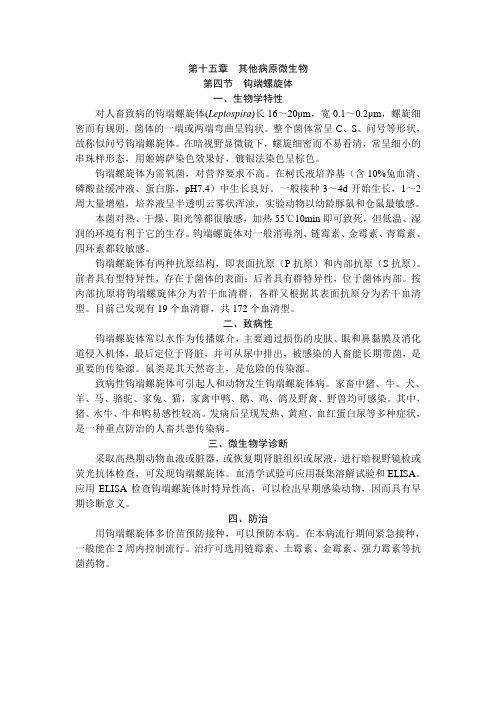 第四节  钩端螺旋体