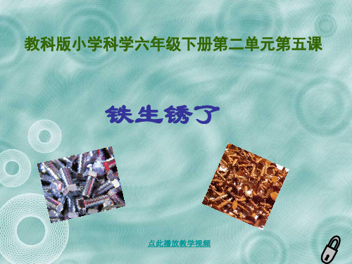 新科教版六年级科学下册《铁生锈了》精品课件
