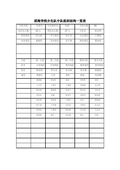 滨海学校少先队中队组织结构一览表