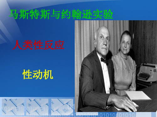 性动机