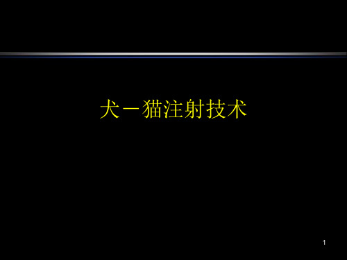 犬猫注射技术PPT课件