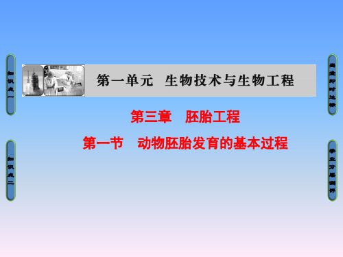 2018年中图版高中生物选修三1.3.1《动物胚胎发育的基本过程》课件