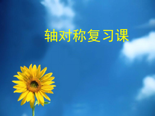 轴对称复习PPT课件