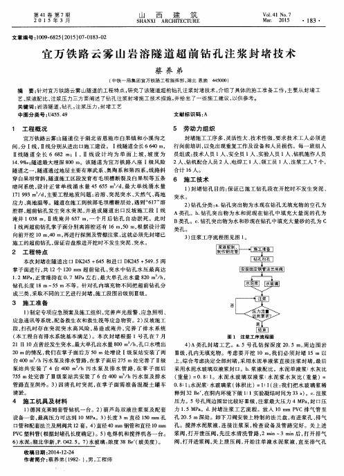 宜万铁路云雾山岩溶隧道超前钻孔注浆封堵技术