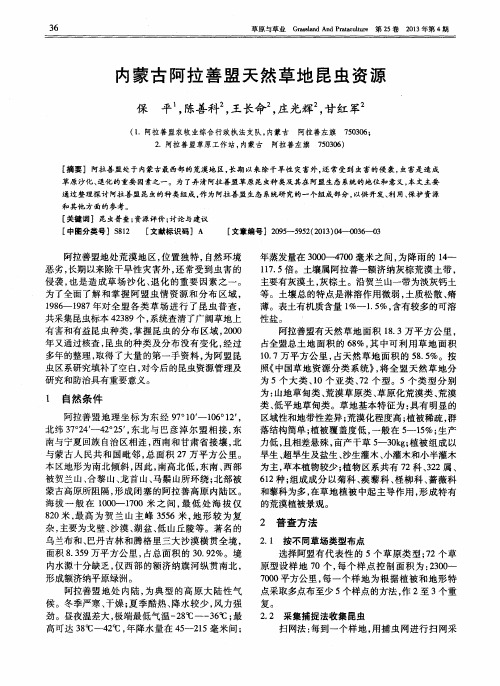 内蒙古阿拉善盟天然草地昆虫资源