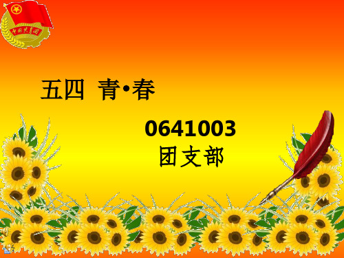 0641003五四答辩2012
