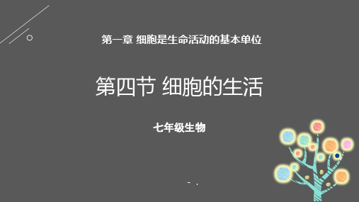 《细胞的生活》PPT优质课件