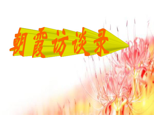 刘朝霞-访谈录