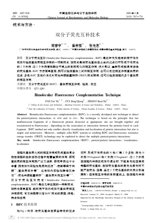 双分子荧光互补技术