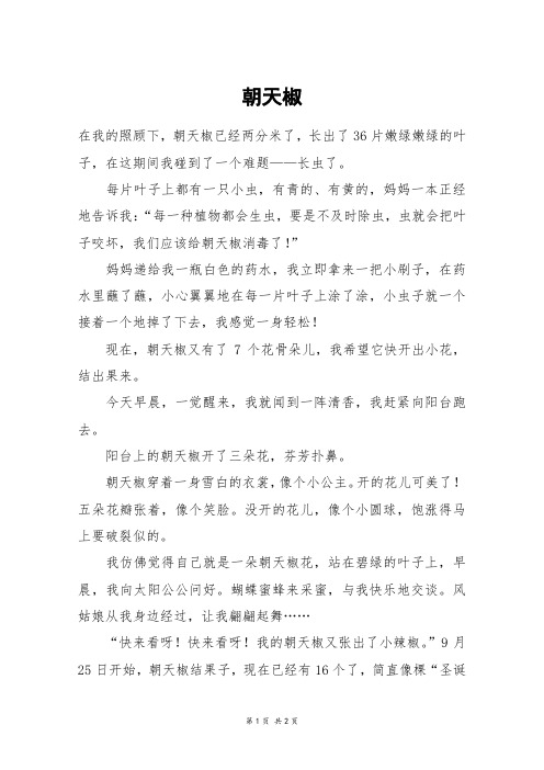 朝天椒_五年级作文