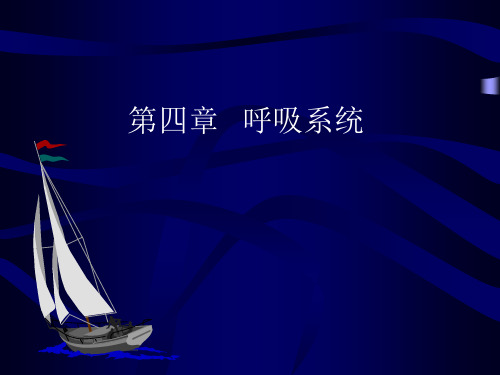 医学影像学：第四章   呼吸系统