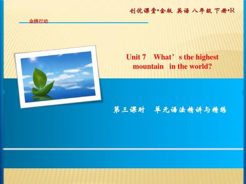 人教版八年级英语下册习题课件：Unit 7 第3课时 单元语法精讲与精练 (共11张PPT)