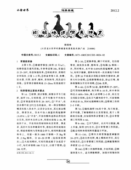肉鹅快速饲养技术