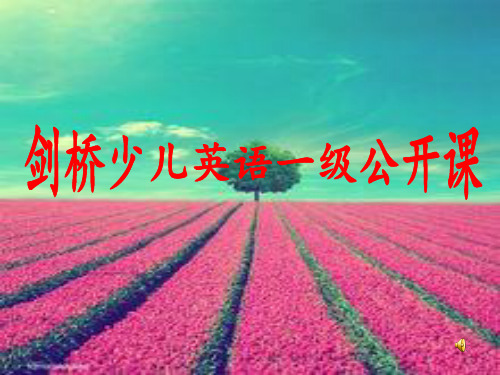 剑桥少儿英语一级Unit9__Where_is_my_toy_car？