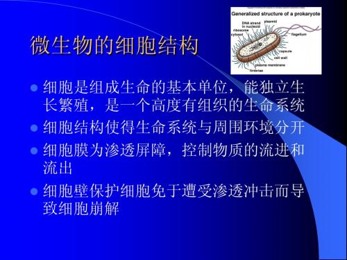 华东理工大学研究生微生物2