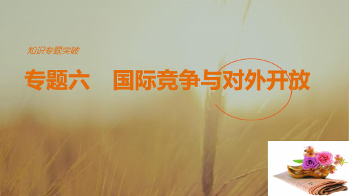 2018高考政治二轮复习知识专题突破课件：专题六国际竞争与对外开放 精品