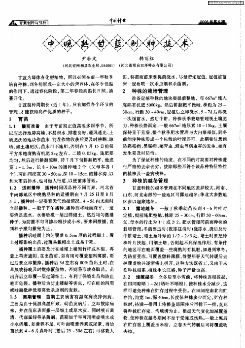 中晚熟甘蓝制种技术