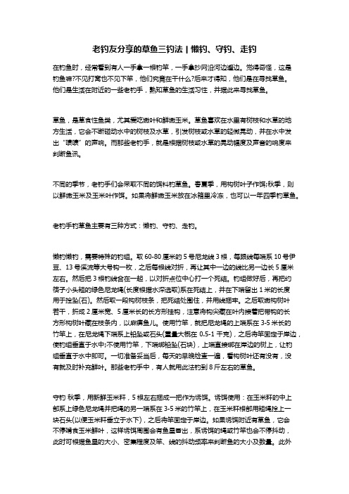 老钓友分享的草鱼三钓法丨懒钓、守钓、走钓