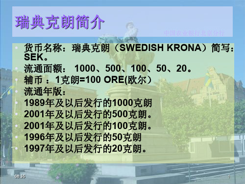新瑞典克朗