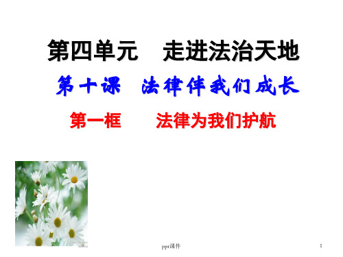 法律为我们护航  ppt课件