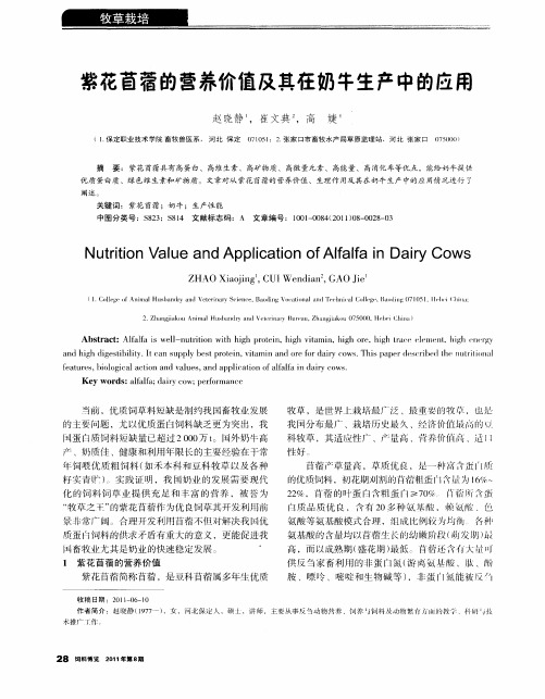 紫花苜蓿的营养价值及其在奶牛生产中的应用