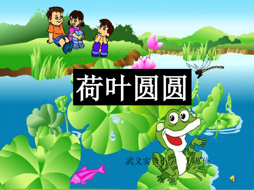 荷叶圆圆公开课课件.ppt7