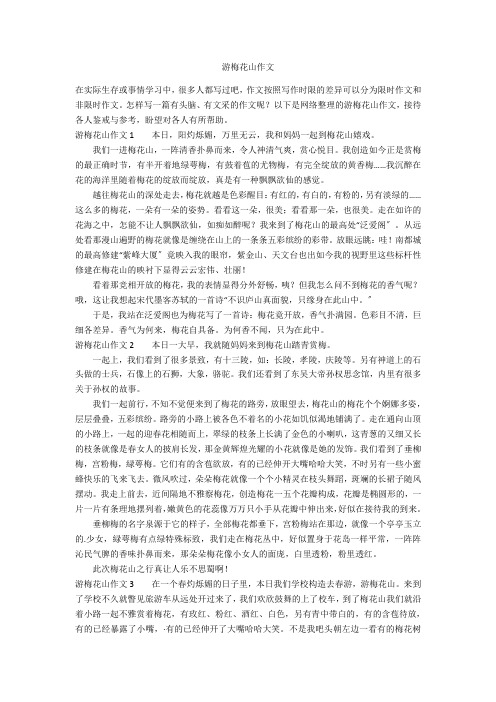 游梅花山作文