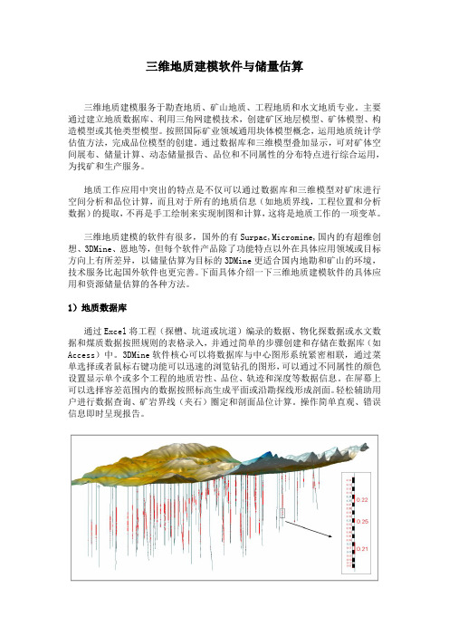 三维地质建模和储量估算