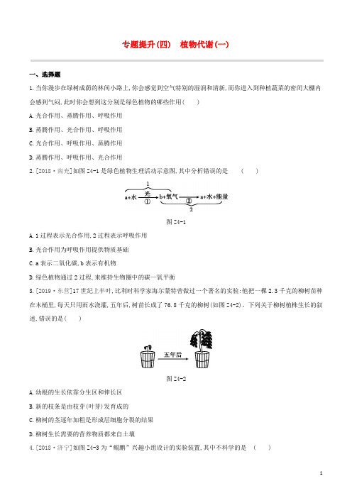 (包头专版)2020中考生物复习方案专题提升(04)植物代谢(一)试题